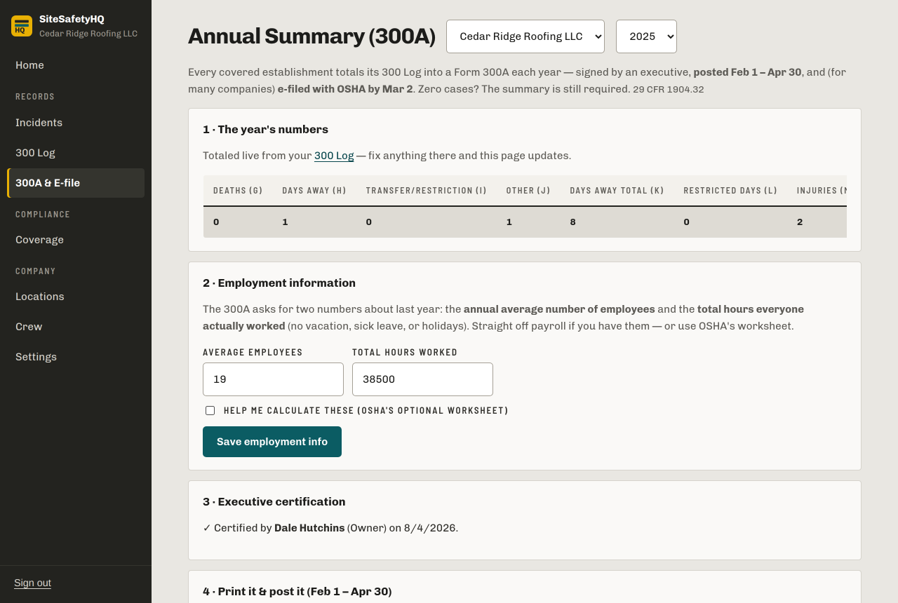 Annual Summary (300A) walkthrough: year totals, employment information, and a completed executive certification